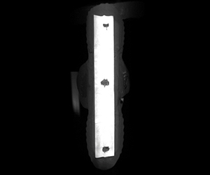 위생 냅킨 검사