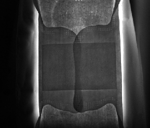 위생 냅킨 검사