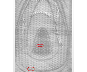 일반 탐지 이미지