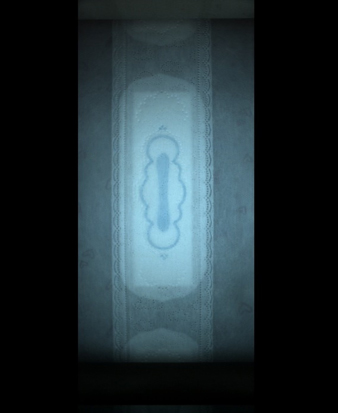 위생 냅킨 검사