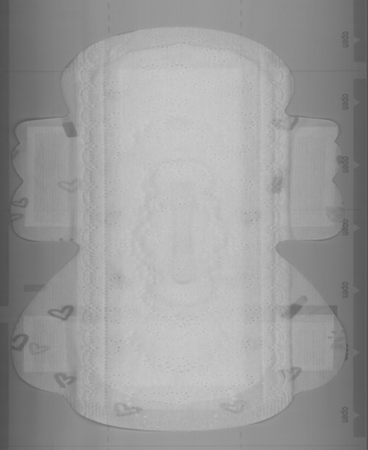 위생 냅킨 검사