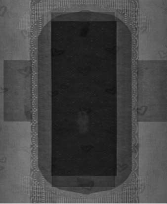 위생 냅킨 검사