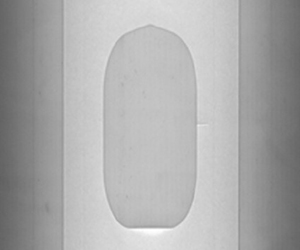  필름 드레싱 이미지(뒷면)